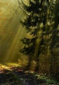 Обложка книги "Сынок, главное - не бояться!"
