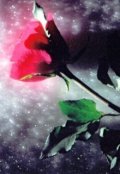 Обложка книги "Я никогда..."