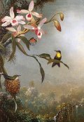 Обложка книги "Фиджи"