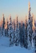 Обложка книги "Моя первая охота"