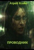 Обложка книги "Проводник"
