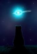 Обложка книги "Огонек"