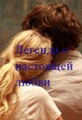Обложка книги "Легенда о настоящей любви"