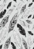 Обложка книги "Перышки"