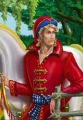 Обложка книги "Как царевичи жен своих искали"
