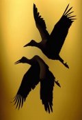 Обложка книги "Молю тебя, не умирай!"