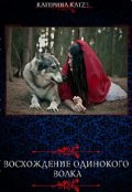 Обложка книги "Восхождение одинокого волка"