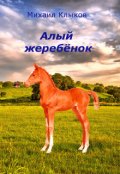 Обложка книги "Алый жеребёнок"