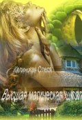 Обложка книги "Высшая магическая школа."