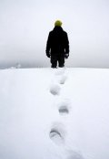 Обложка книги "Снова лягут на землю снега"