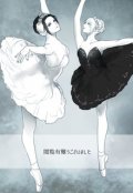 Обложка книги "Зеркальная шкатулка"
