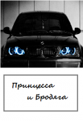 Обложка книги "Принцесса и Бродяга"