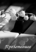 Обложка книги "Пролетевшее"