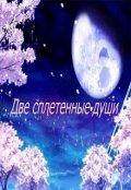Обложка книги "Две сплетенные души"