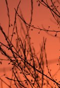 Обложка книги "Тропой жрецов"