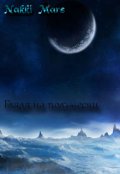 Обложка книги "Глядя на полумесяц"