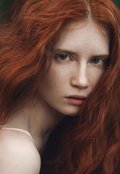 Обложка книги "Поцелуй Ши"