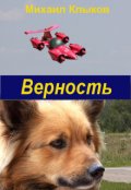 Обложка книги "Верность"