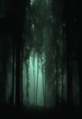 Обложка книги "Дело: Темное"