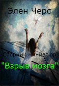 Обложка книги "Сборник миниатюр "Взрыв мозга"  2016-2017 "