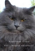 Обложка книги "Кот-Мороза вызывали?"