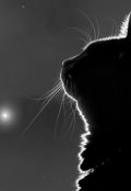 Обложка книги "Радуга для Тоськи"