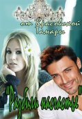 Обложка книги "Разбили насчастье"
