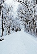 Обложка книги "Ты никуда не денешься..."
