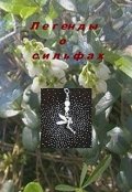Обложка книги "Легенды о сильфах"