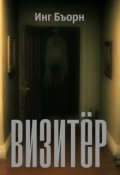 Обложка книги "Визитер"