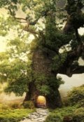 Обложка книги "Коряжка"