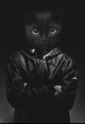 Обложка книги "Про кота"