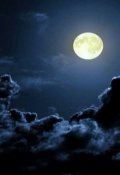 Обложка книги "Ангел как соучастник"