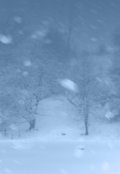 Обложка книги "Вьюга. (короткий рассказ)"