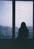 Обложка книги "Неисполненое обещание"