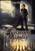 Обложка книги "Последний Тёмный"