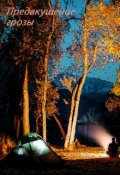 Обложка книги "Предвкушение грозы"