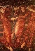 Обложка книги "Сады Гесперид (из цикла "Странник")"