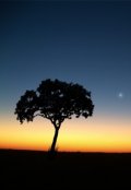 Обложка книги "Загадка природы"
