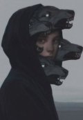Обложка книги "Василиса"