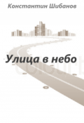 Обложка книги "Улица в небо"
