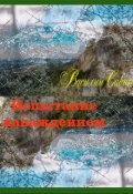 Обложка книги "Испытание наваждением"