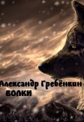 Обложка книги "Волки"