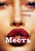 Обложка книги "Месть"
