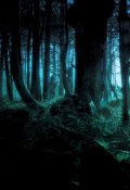 Обложка книги "Путь в город Грез"