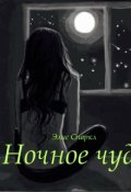 Обложка книги "Ночное чудо "