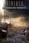 Обложка книги "stalker"