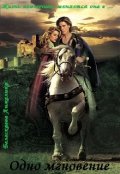 Обложка книги "Одно мгновение"