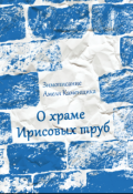 Обложка книги "Зимописание Амеля Каменщика: о храме Ирисовых труб"