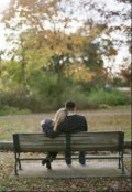 Обложка книги "Идеал"